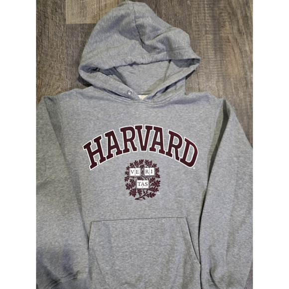 Vintage 80s Style Harvard University Grey Hoodie Pullover Size Small - Picture 1 of 8